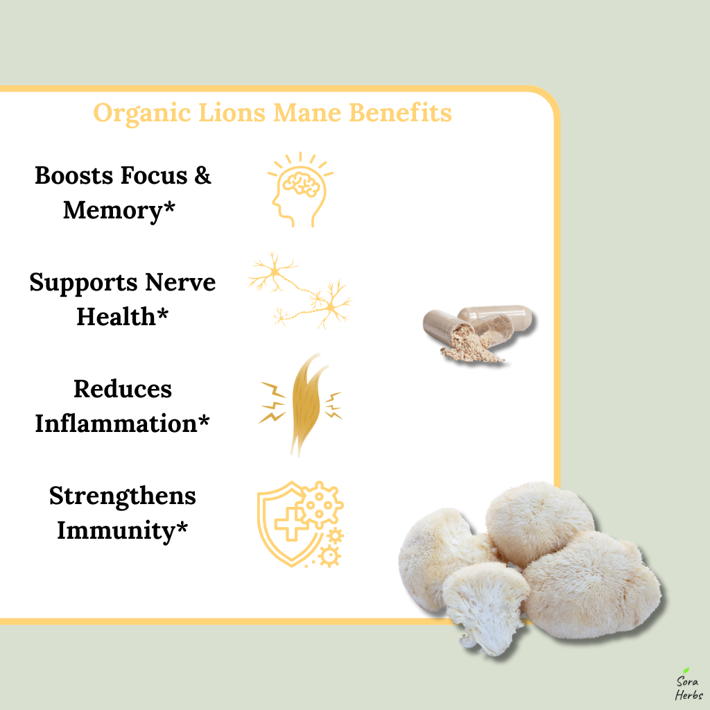 Sora Herbs Organic Lion's Mane Mushroom