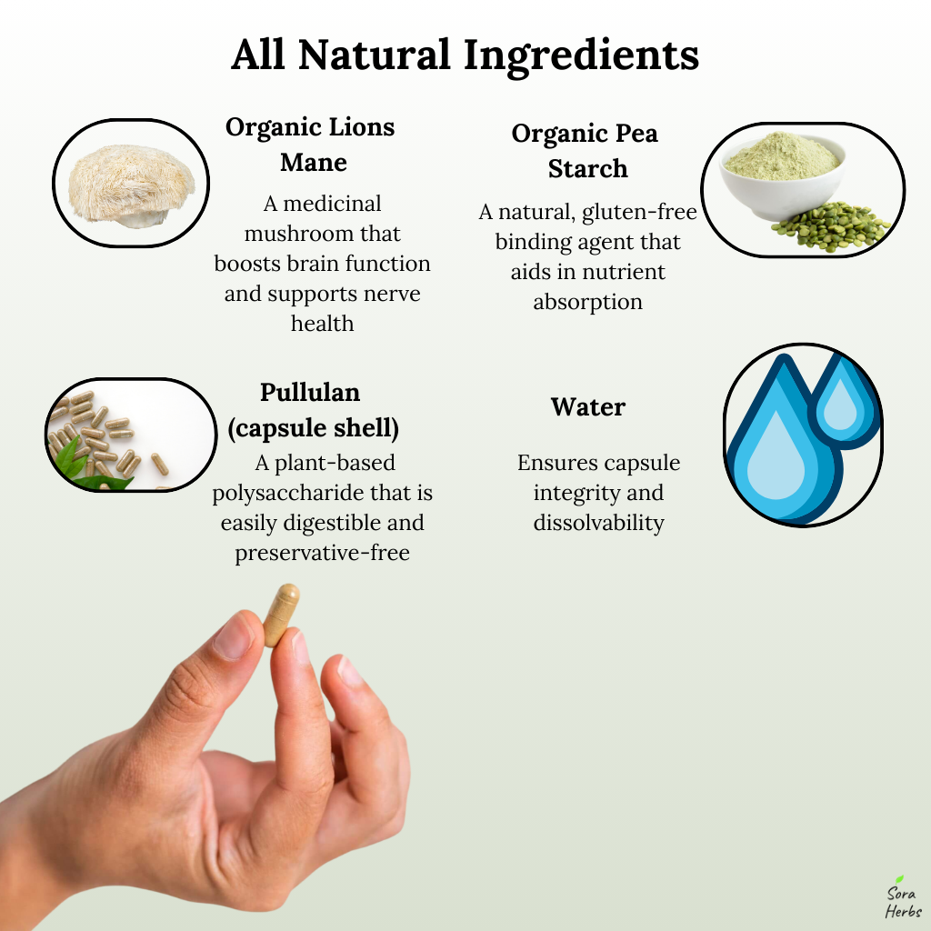 Sora Herbs Organic Lion's Mane Mushroom
