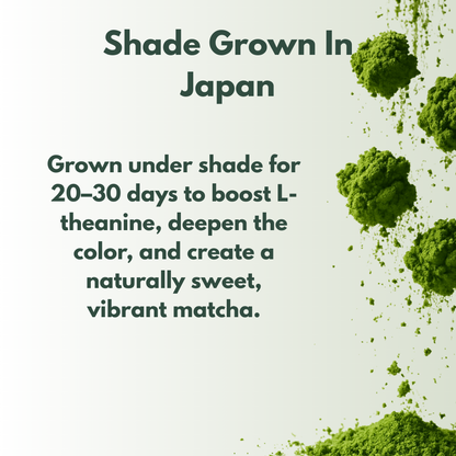 Sora Harmony Ceremonial Matcha