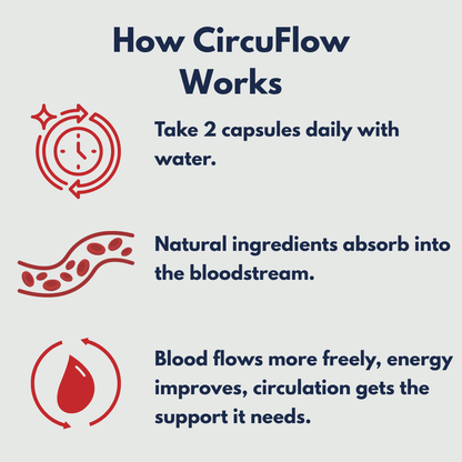 CircuFlow