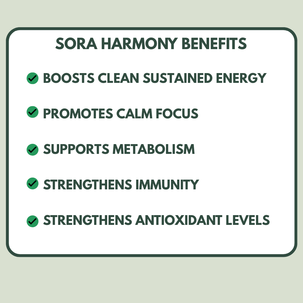 Sora Harmony Ceremonial Matcha