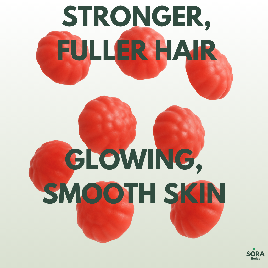 Sora Herbs Hair, Skin & Nails Gummies